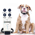 SafePet™ G12 – Localizzatore GPS Professionale (Senza Abbonamento).