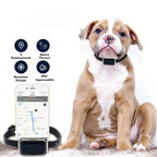 SafePet™ G12 – Localizzatore GPS Professionale (Senza Abbonamento).