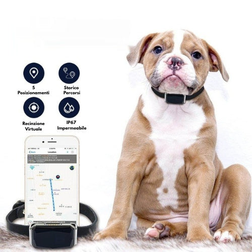 SafePet™ G12 – Localizzatore GPS Professionale (Senza Abbonamento).