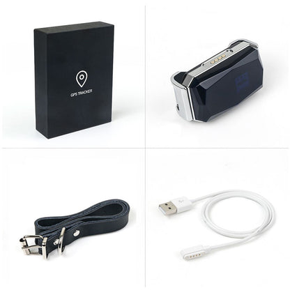 SafePet™ G12 – Collare GPS Intelligente per Cani e Gatti