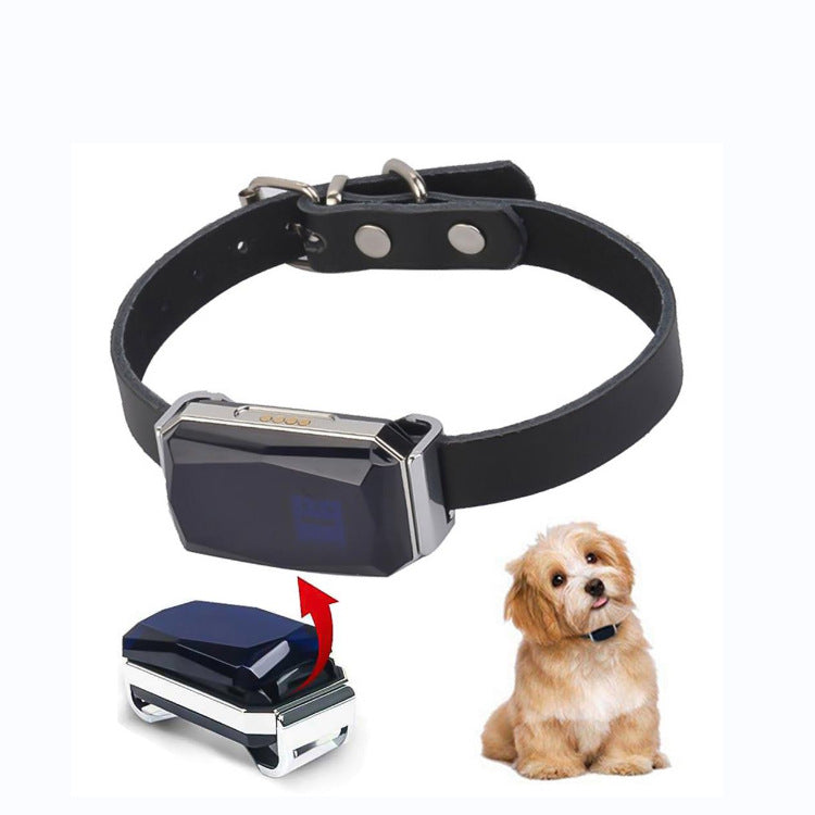 SafePet™ G12 – Collare GPS Intelligente per Cani e Gatti