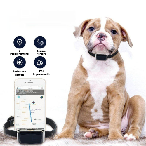 SafePet™ G12 – Collare GPS Intelligente per Cani e Gatti