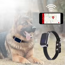 SafePet™ G12 – Localizzatore GPS Professionale (Senza Abbonamento).