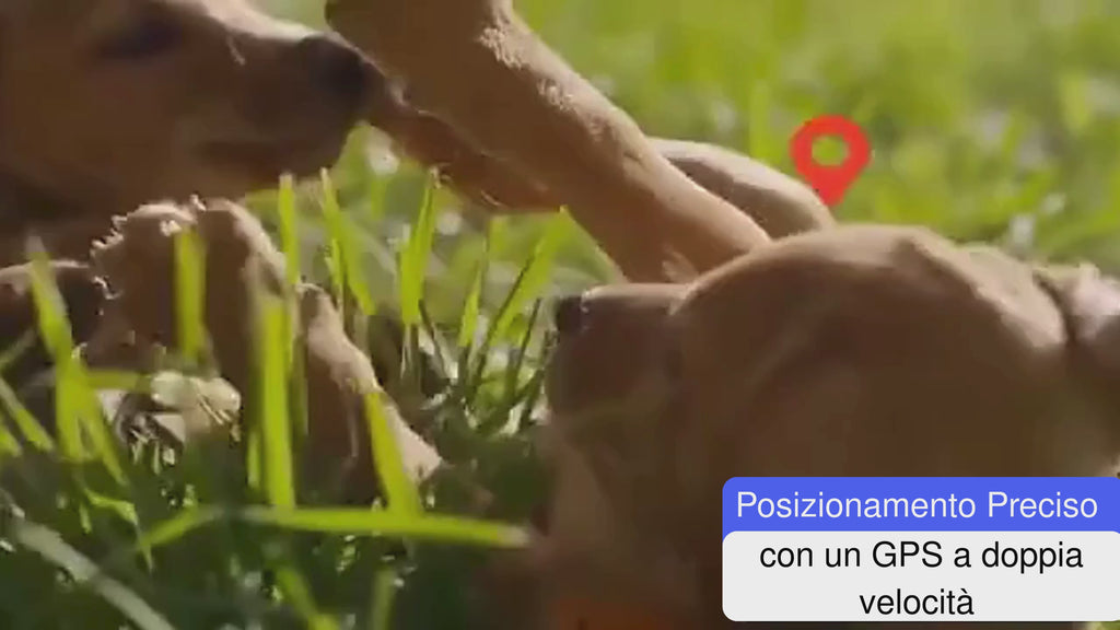 SafePet™ G12 – Localizzatore GPS Professionale (Senza Abbonamento).